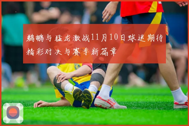 鹈鹕与猛龙激战11月10日球迷期待精彩对决与赛季新篇章